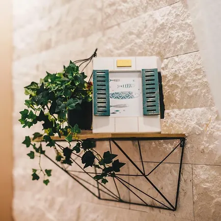 Saint Lucas * سبليت