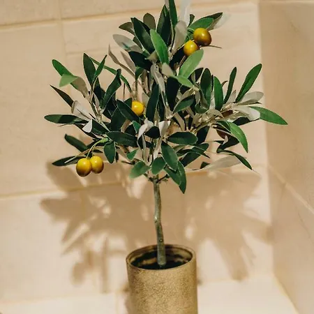 Appartement Saint Lucas Split